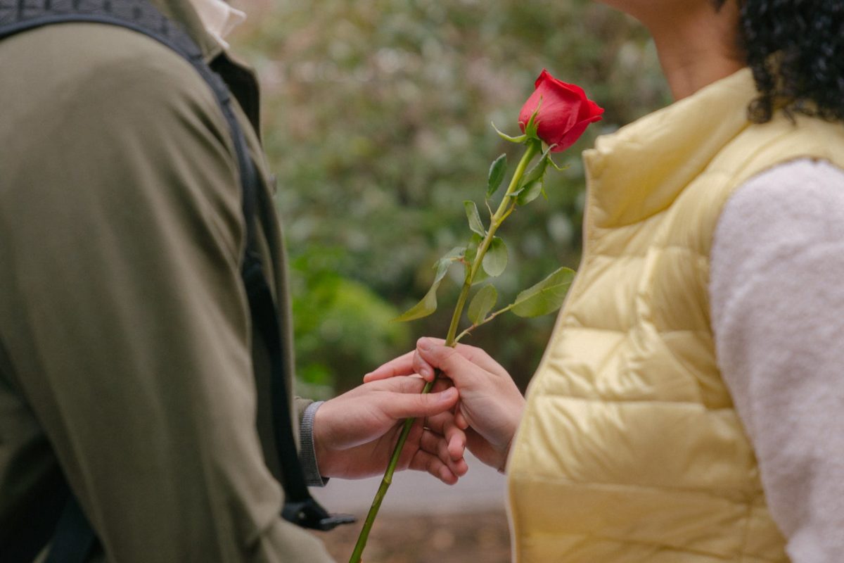 unrecognizable couple on date with rose in hand in park